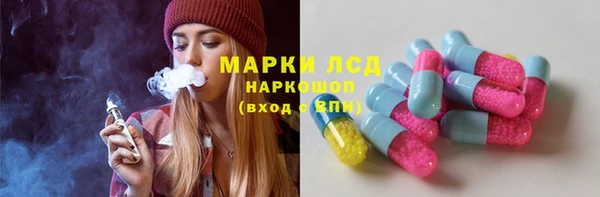 spice Богородицк